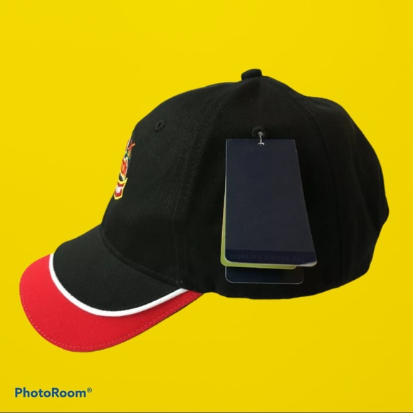 💥3/$25 OLD DUTCH BASEBALL CAP ORGANIC FABRIC BNWT - Picture 2 of 9